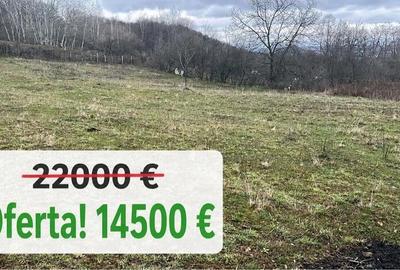 Teren de 2311 mp, în Vlădești