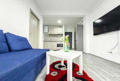 Apartament cu 2 camere semidecomandat, mobilat în Agigea - 11