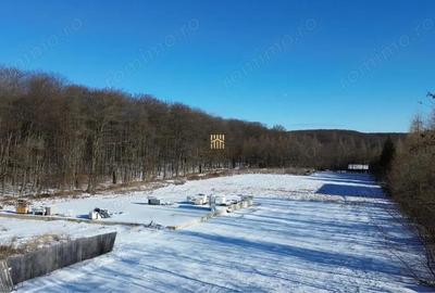 Teren de 9850 mp, în Dragomirna