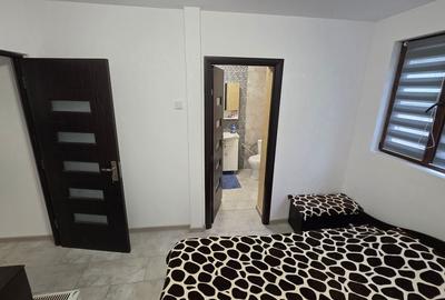 Casă cu 5 camere cu Teren 211 Mp în Eșelnița - 2