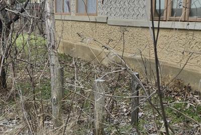 Casă cu 3 camere în Homești - 2