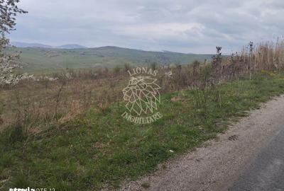 Teren de 2100 mp, în Șieu - 3