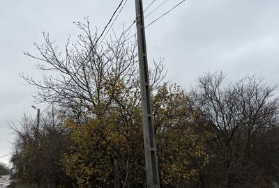 Teren de 5014 mp, în Afumați - 3