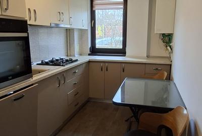 Apartament cu 2 camere decomandat în Lunca Cetățuii - 20