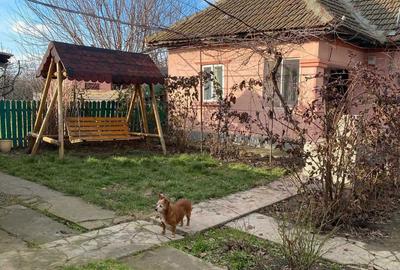 Casă cu 3 camere în Cobadin - 2