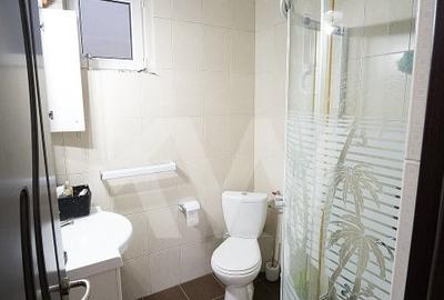 De vanzare – Imobil cu potential turistic si rezidential in Ocna Sibiului - 8