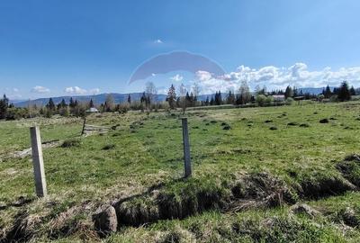 Teren intravilan in Suceava,Neagra Sarului,3002m.p.la 20km de V.Dornei - 7