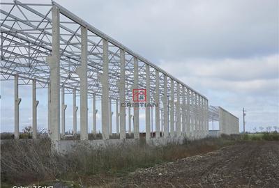 Depozit/hala/spatiu industrial Mogosoaia - Buftea - 8