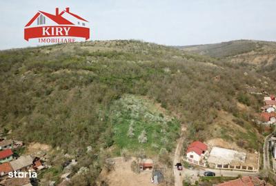 Teren de 92400 mp, în Central