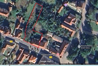 Casa cu aer nobil in Baia de Cris - 19