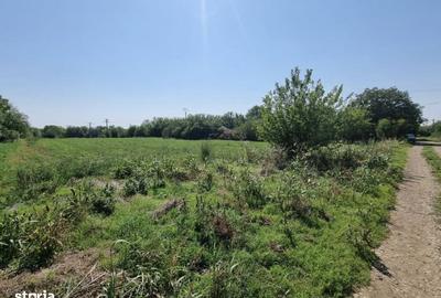 Teren de 860 mp, în Sinești - 4