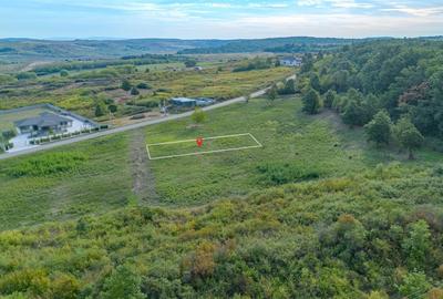 Teren intravilan -700 mp in Paleu, Bihor- intre padure si lac, cu PUZ aprobat - 7