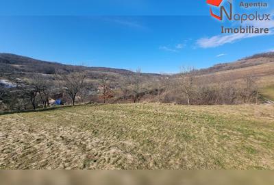 Teren Construcții intravilan de 31000 mp, în Șardu - 10