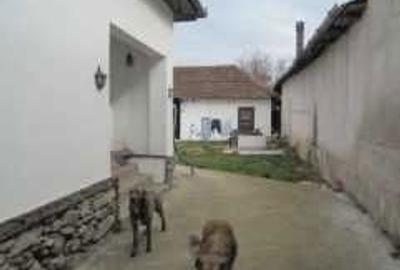 Casă cu 4 camere în Leheceni - 2