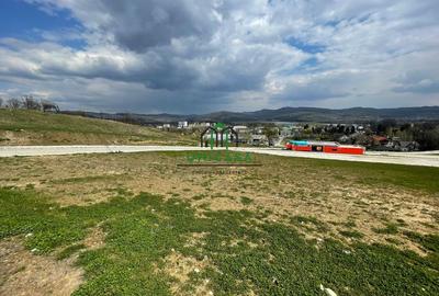 Teren intravilan - Calea Lui Traian - Zona Cetatuia - 11