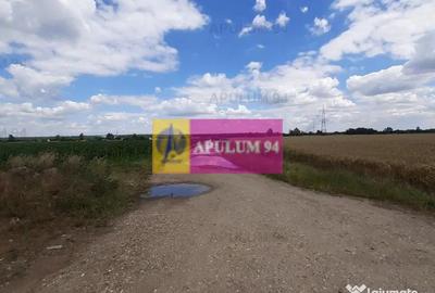 Teren de 715 mp, în Snagov