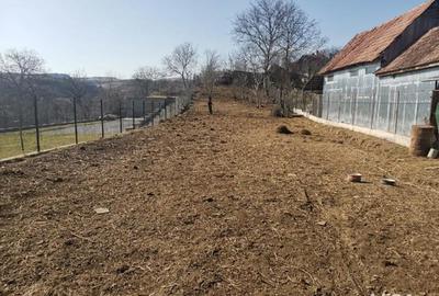 Casă în Finișel - 1