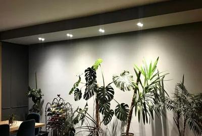 Penthouse cu 3 camere,120mp,2 parcari, Zona Borhanci - 5