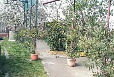 Casă cu Teren 223 Mp în Amați - 1