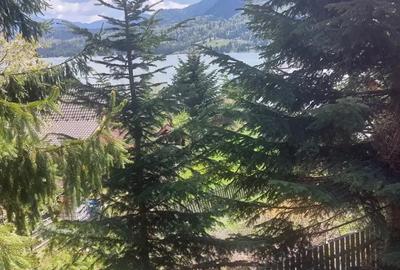 Casă cu 3 camere în Colibița