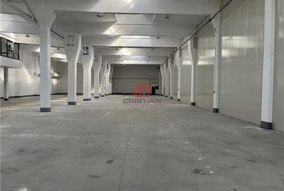 Spațiu comercial, de 700 mp, în Jilava - 7