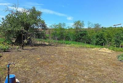 Casă cu Teren 10000 Mp în Bucșești - 2