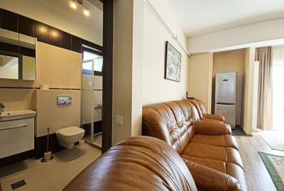 Apartament 2 camere, 65mp utili, etaj 2, mobilat si utilat, Grigorescu - 10