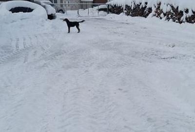 Teren de 1245 mp, în Central - 2