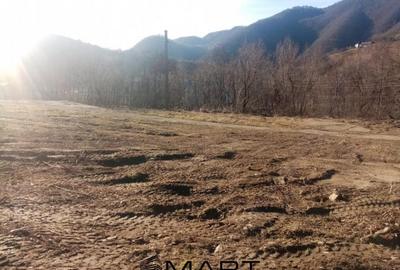 Teren de 7432 mp, în Săsciori - 8