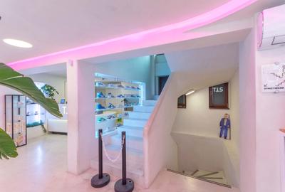 Spatiu Comercial | Showroom | Birou reprezentativ I C Bratianu | Universitate - 11