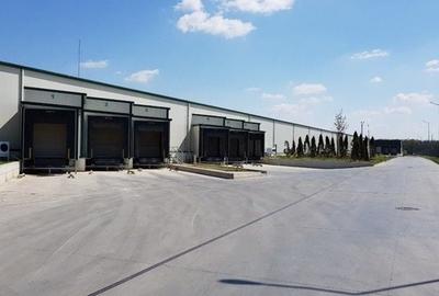 Spațiu industrial, de 3,000 mp, în Brănești - 2