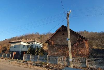 Casă cu Teren 5000 Mp în Dragu - 4