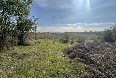 Teren 5216 mp la drum principal com. Ratesti - 7