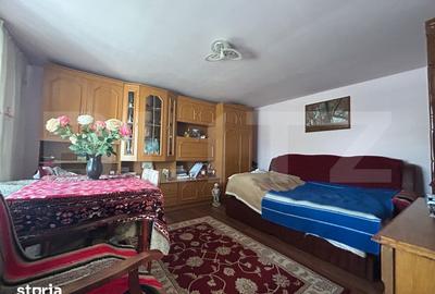 Casă cu 6 camere cu Teren 24000 Mp în Central - 13