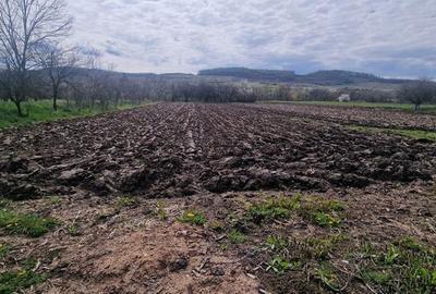 Casă cu 4 camere cu Teren 120 Mp în Almașu - 8