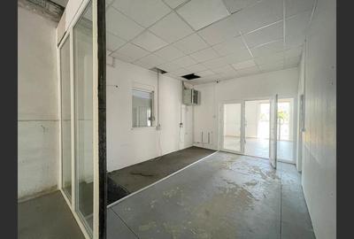 Spatii multiple pentru inchiriat Calea Timisoarei - 7