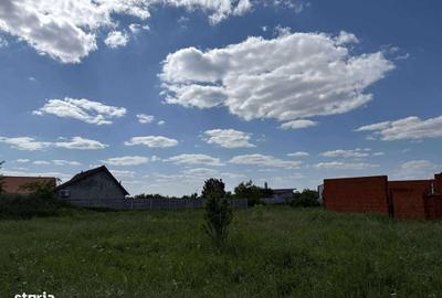 Spațiu comercial, în Leș - 17