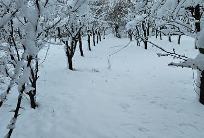 Teren de 11860 mp, în Călugăreni - 9