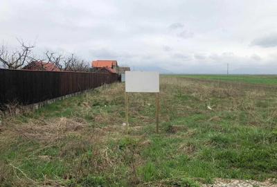 Teren de 1000 mp, în Prejmer - 4