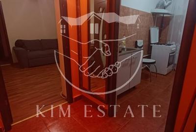De vanzare apartament 2 camere Brotacei - 7