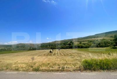 Teren intravilan, construibil in MACICASU , 3 KM de la Chint - 6