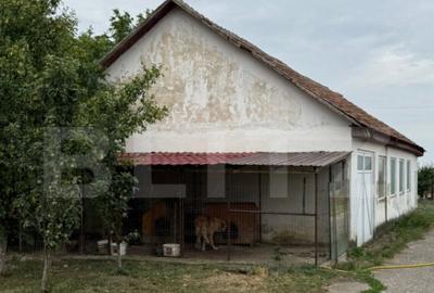 Ferma de Vanzare in judetul Timis, la nord est de Timisoara, - 15