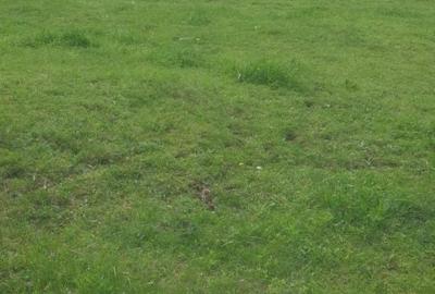 Spațiu comercial, în Central - 7