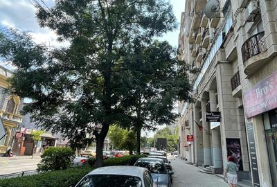 Spatiu comercial 35mp cu chiras,randament rapid Spatiu comercial 35mp cu chiras,randament rapid - 1