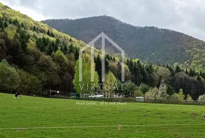 Teren Construcții intravilan de 3862 mp, în Sadu - 2