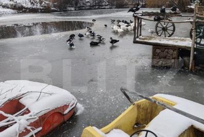 Cabana 3 camere + 1,7 ha teren , Spre Campul Cetatii - 2