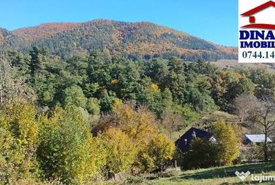 Teren de 3600 mp, în Alexandru cel Bun - 2