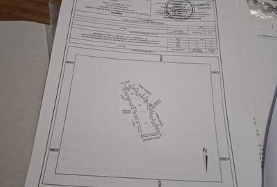Spațiu comercial, în Cerbu - 11