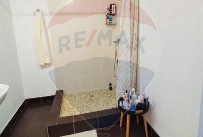 Apartament  de vanzare 2 camere,  zona Spitalul de Urgenta - 14