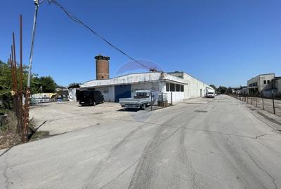 Teren | Platforma industriala 35.000 mp, Chiajna Centura Ilfov - 3